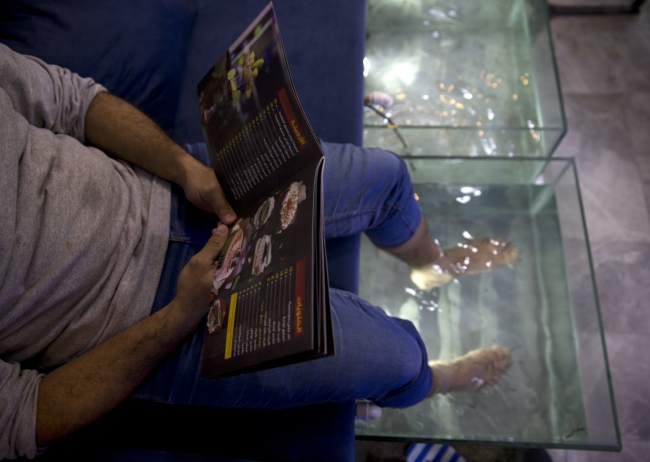 Fikri Türkiye'den aldı, Gazze'de doktor balıkları kullandı